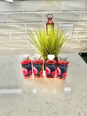 Bath & Body Works “ DISCONTINUED” Midnight Pomegranate Shower Gel Set